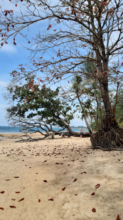 Strand Ocean Breeze Resort
