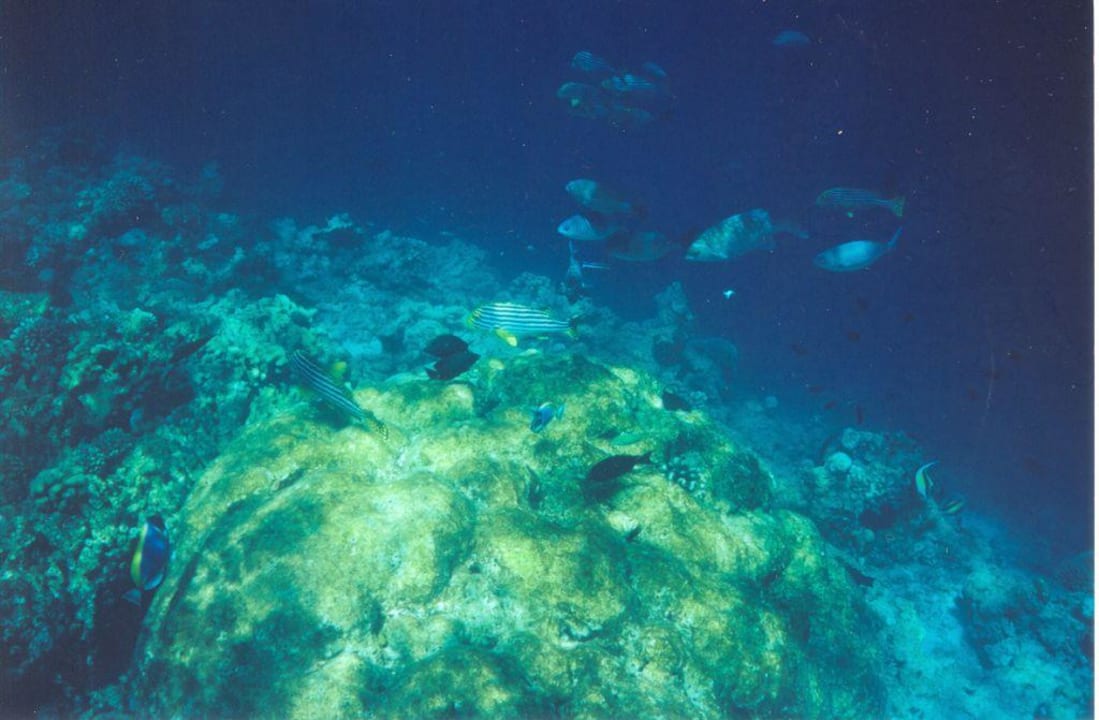 Unterwasser Thulhagiri Island Resort