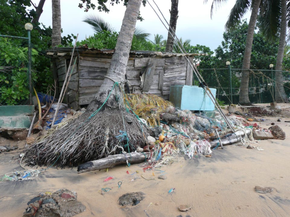 Strand Earl’s Reef Beruwala