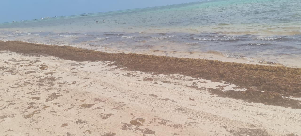 Strand Dreams Royal Beach Punta Cana