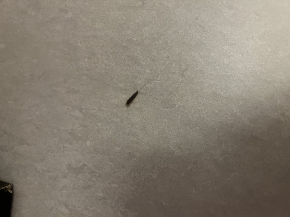 Sonstiges Bel Mare Resort