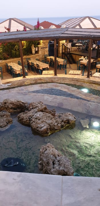 Gastro Hotel Kalithea Horizon Royal