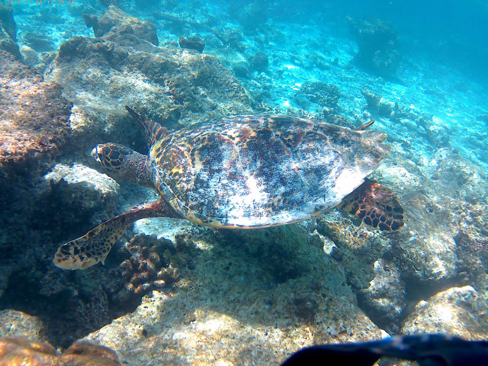 Sport & Freizeit Embudu Village