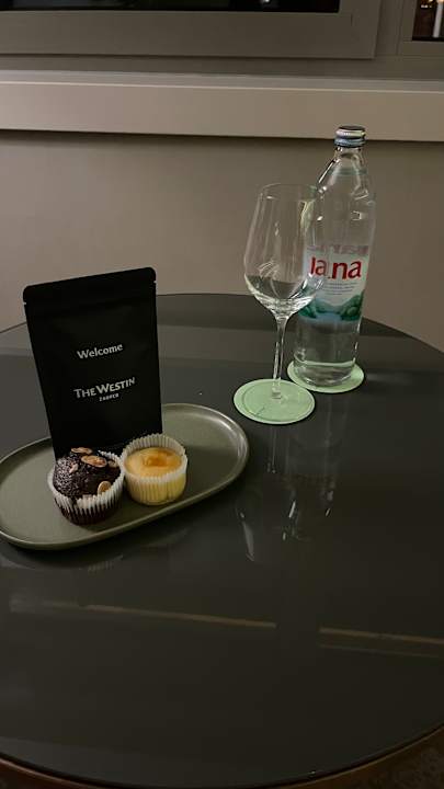 Zimmer Hotel The Westin Zagreb