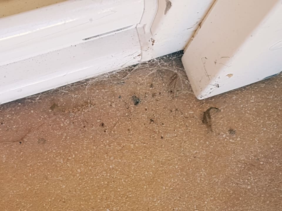 Zimmer Hotel Gran Belveder