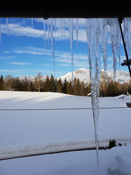 Ausblick Ferienwohnungen Gästehaus Lärcheck