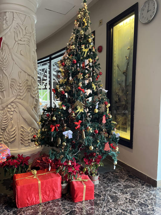 Sonstiges Sentido Caribbean World Soma Bay