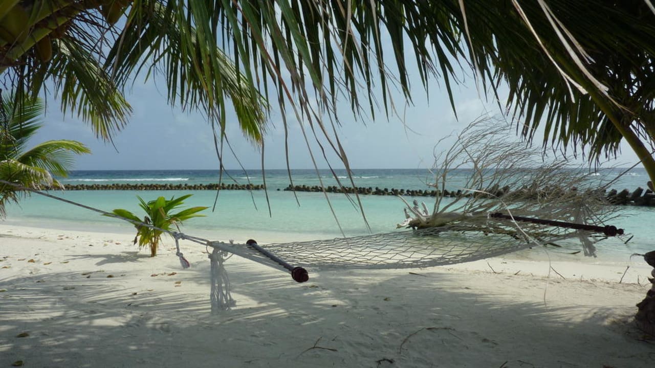 Hängematte auf der Nordseite Kuredu Island Resort & Spa