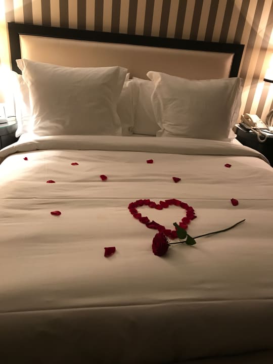 Zimmer Hotel Four Seasons Prague