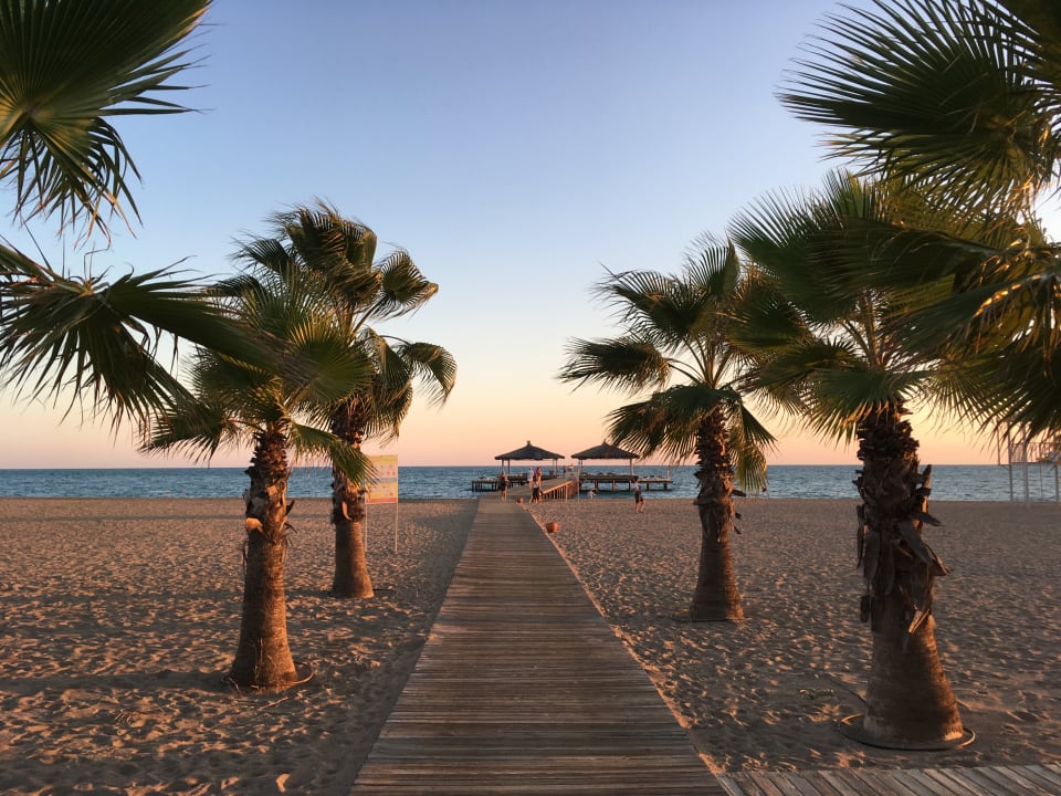 Strand ROBINSON NOBILIS