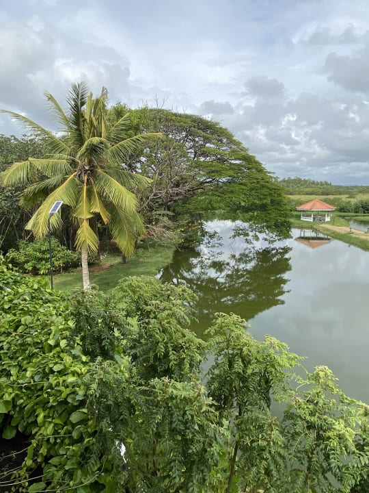 Ausblick Ayubowan Swiss Lanka Bungalow Resort
