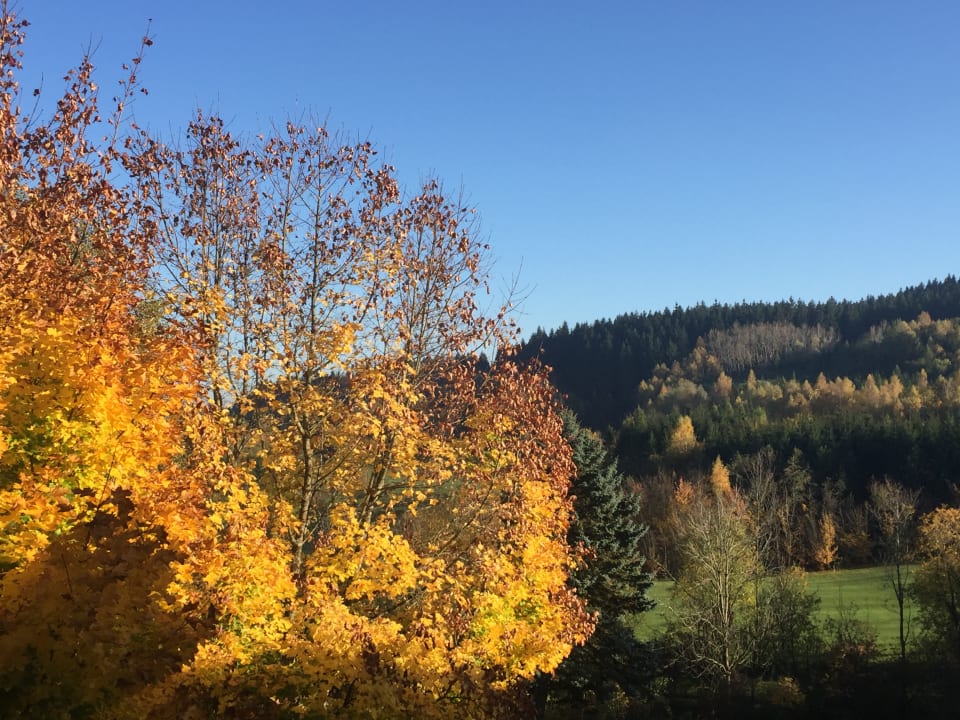 Ausblick Aldiana Club Ampflwang