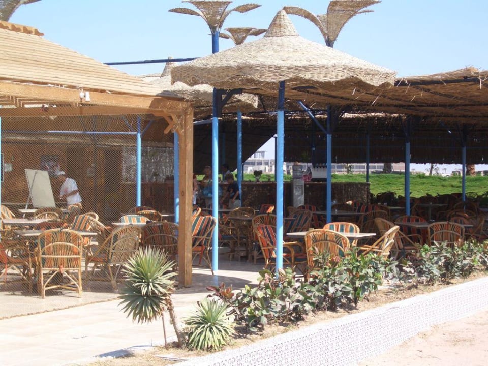 Strandbar Pickalbatros Royal Moderna Resort-Sharm El Sheikh