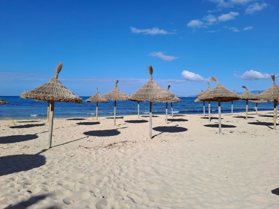 Strand Myseahouse Flamingo - Adults only