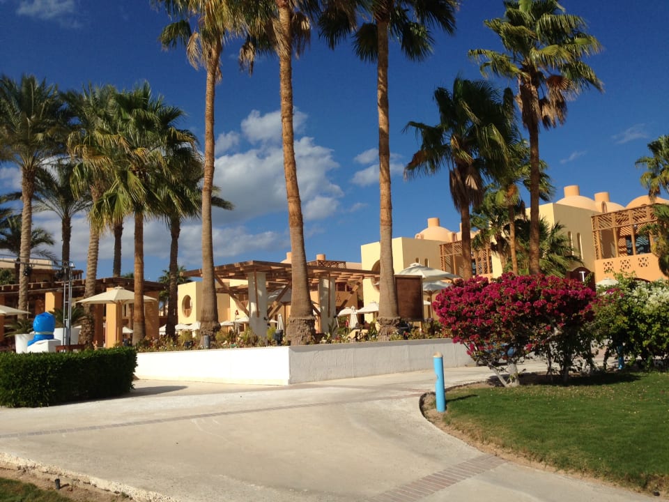 Gartenanlage Club Paradisio El Gouna, Red Sea