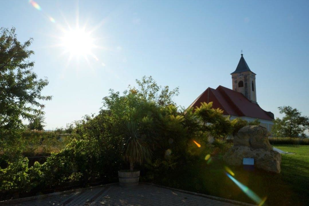Sonne mit Kirche von Jois Weingut & Gästehaus zum Seeblick - Familie Sattler