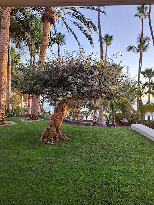 Gartenanlage Hotel Fariones