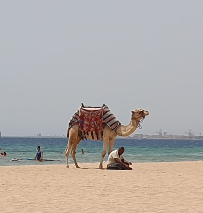 Strand Shams Safaga Resort