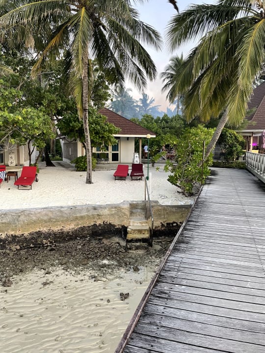 Gartenanlage Ellaidhoo Maldives by Cinnamon