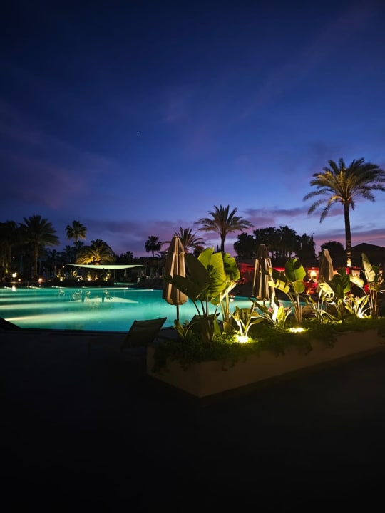 Pool Hotel Miramare Beach