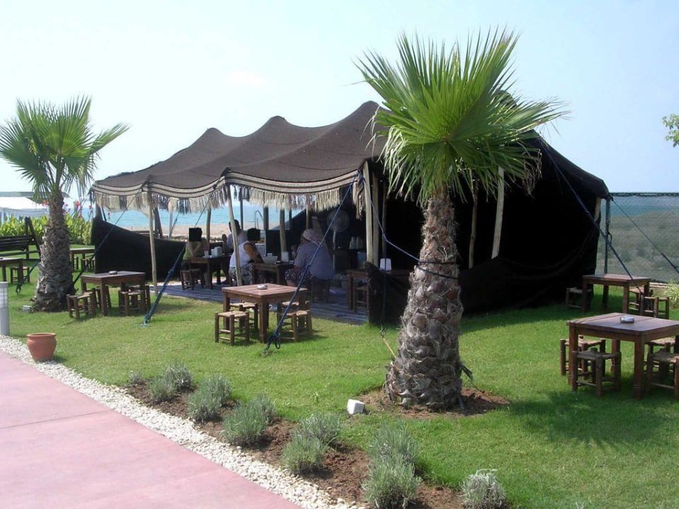 Gartenanlage Saturn Palace Resort Hotel