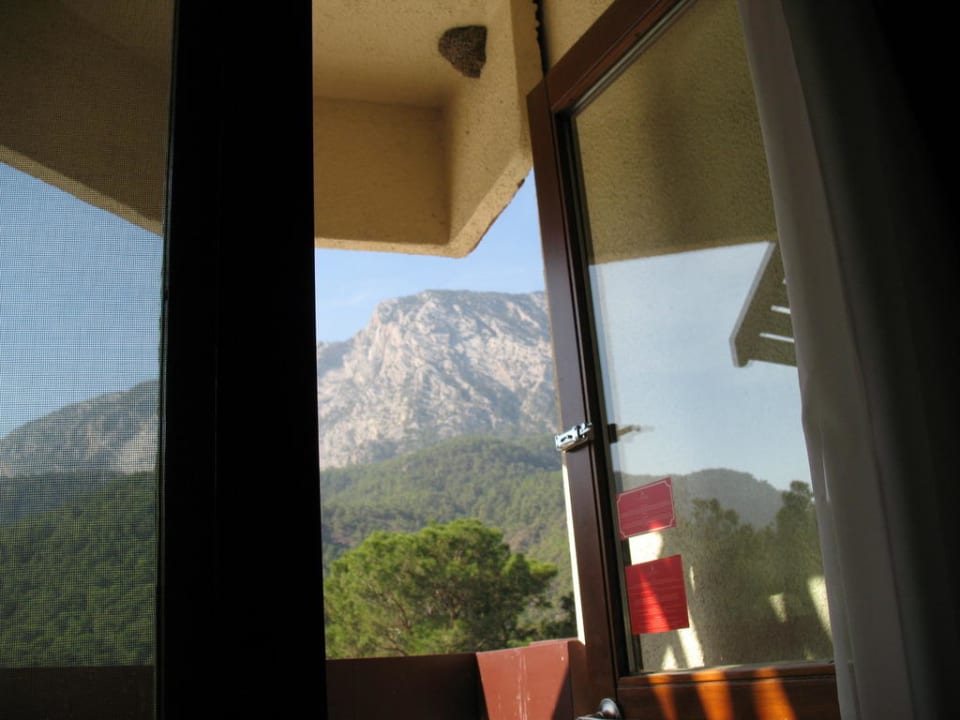 Aussicht vom Balkon Balmy Foresta