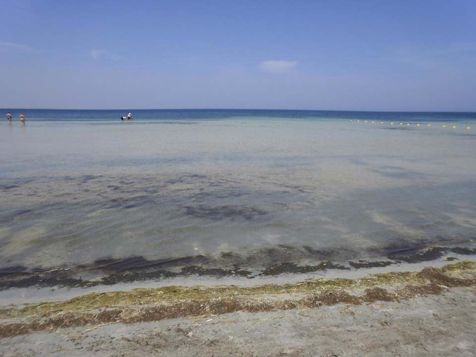 Plaża Hotel Rosa Beach