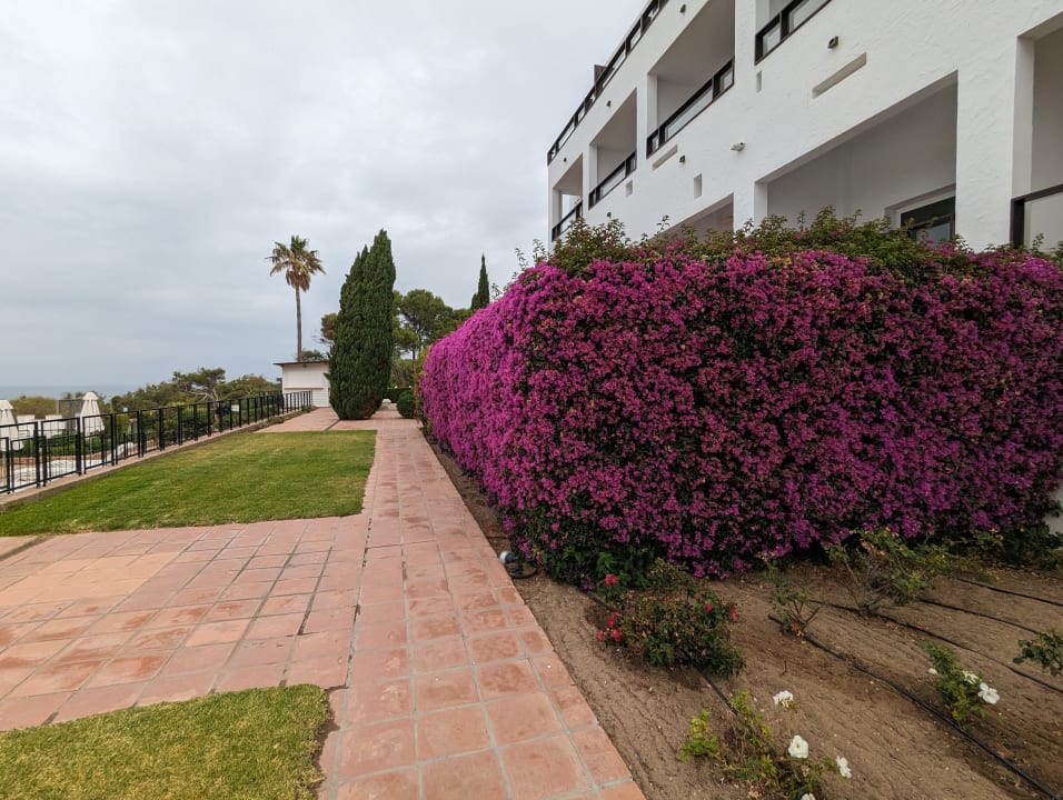 Gartenanlage Fuerte Conil-Resort