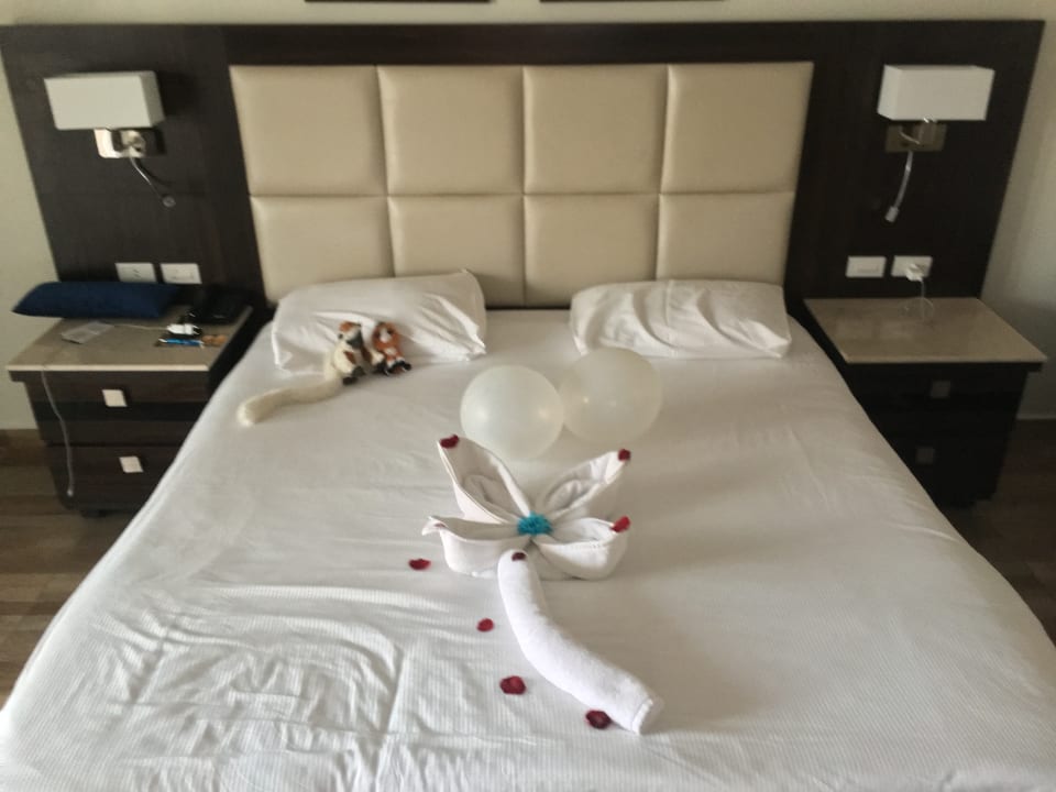 Zimmer Pickalbatros White Beach Resort - Hurghada