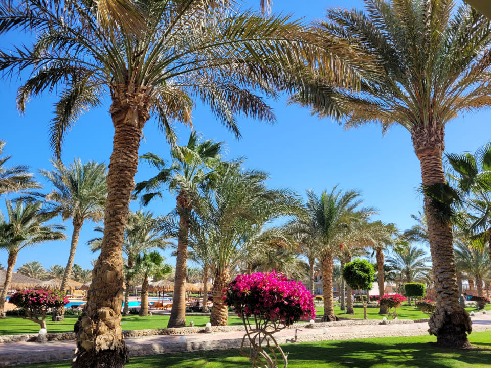 Außenansicht Three Corners Sea Beach Resort