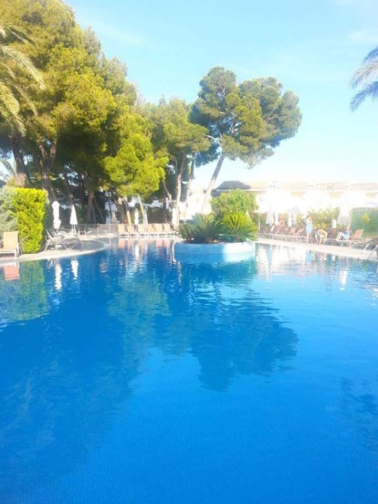 Pool( mit genug Liegen!) Aparthotel Ivory Playa