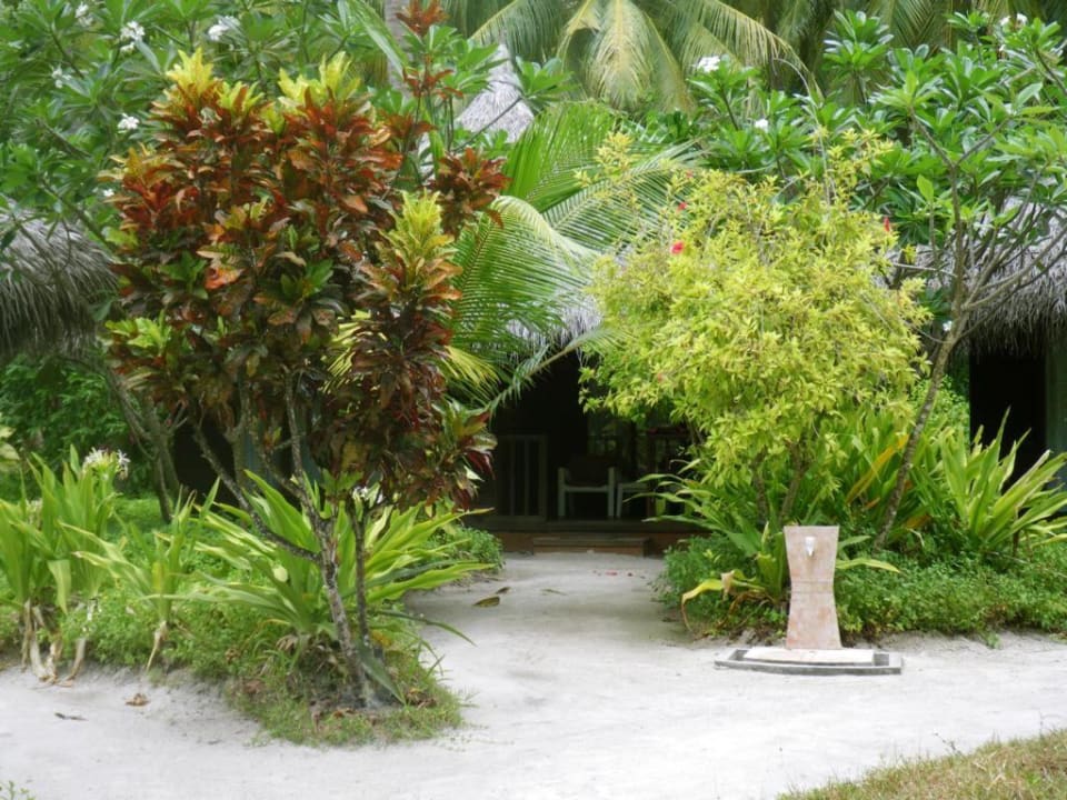 Bungalow 100 Kuramathi Maldives