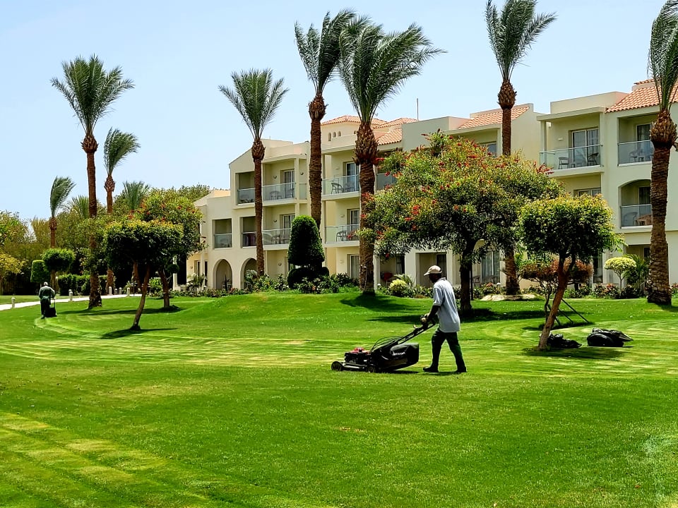 Gartenanlage Pickalbatros Dana Beach Resort - Hurghada