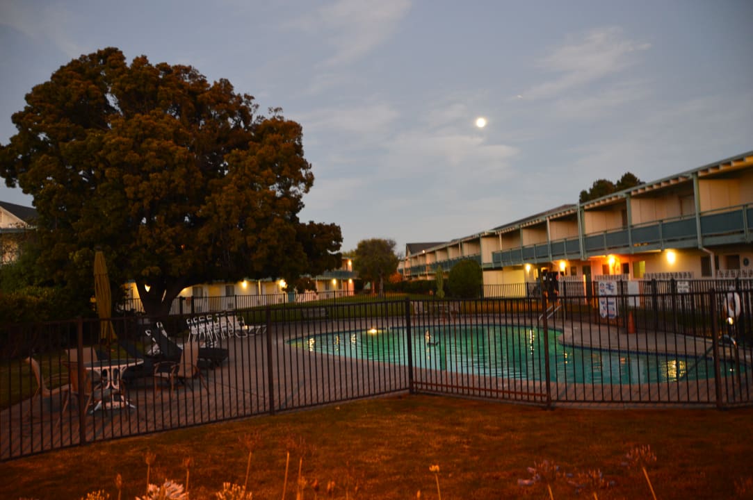 Pool Hotel Coral Reef Inn & Suites