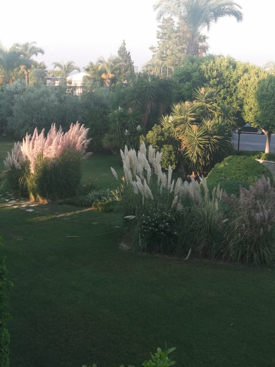 Gartenanlage Trendy Aspendos Beach Hotel