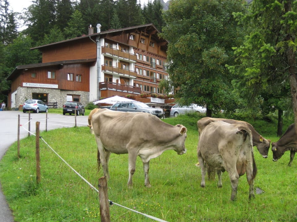 Natur pur IFA Breitach Apartments - Berghotel Kleinwalsertal