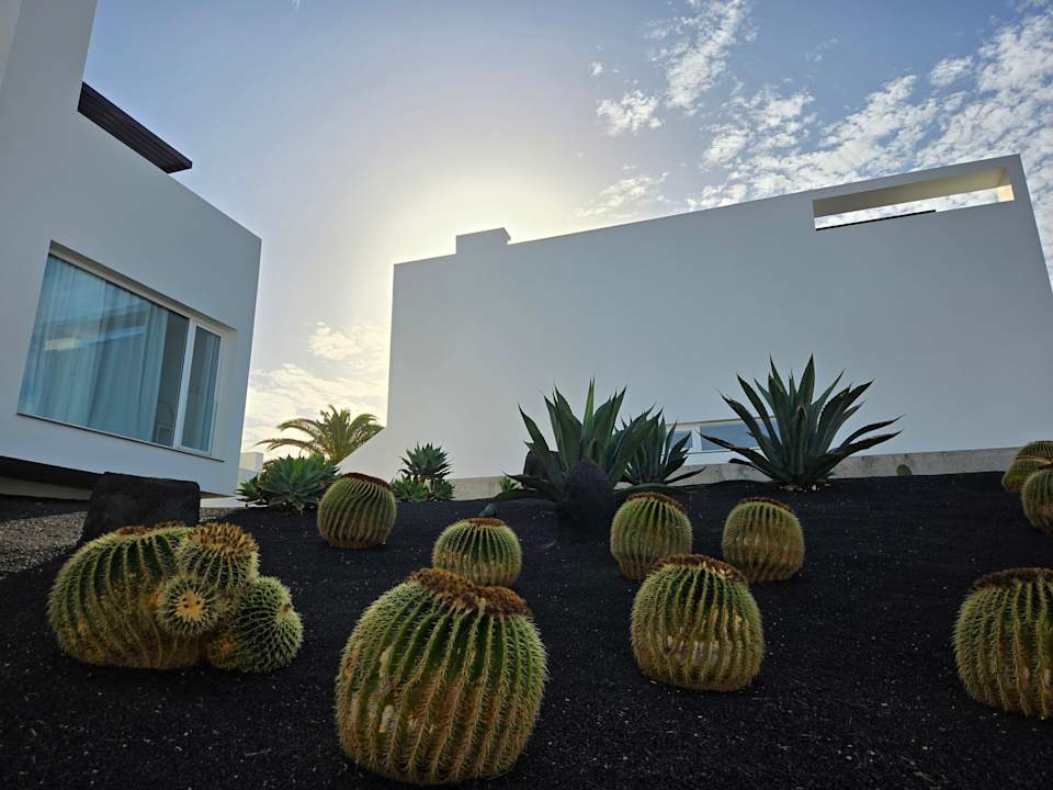 Gartenanlage Club La Santa