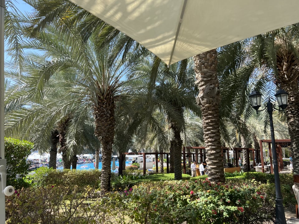 Gartenanlage Rixos The Palm Hotel & Suites