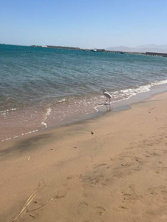 Strand Sentido Caribbean World Soma Bay