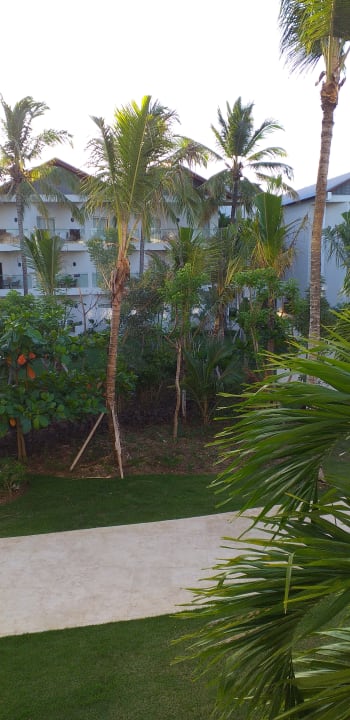 Gartenanlage Dreams La Romana Resort & Spa