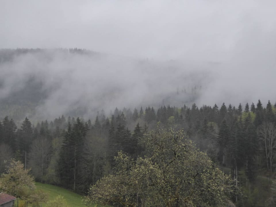 Blick auf den Schwarzwald Schwarzwaldhotel-Gasthof Hirsch