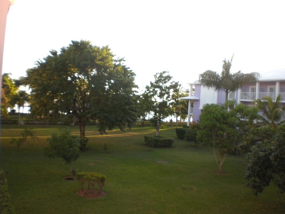 Balkon Hotel Riu Negril