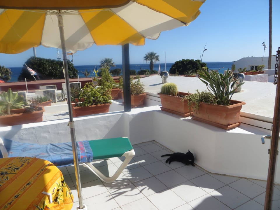 Unser Mitbewohner, kennen wir schon von früher :-) Bungalows & Appartements Playamar