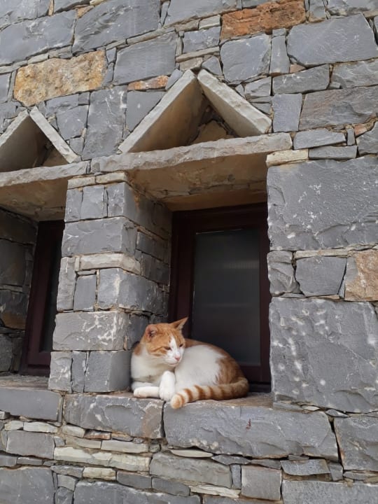 Sonstiges Creta Maris Resort