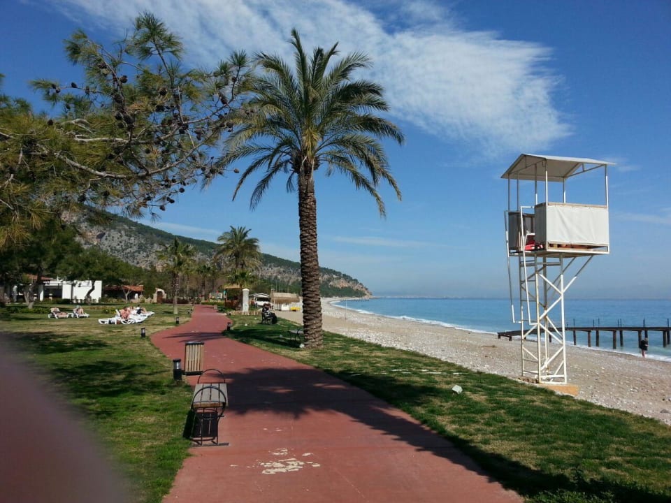 Schöner Garten TUI MAGIC LIFE Beldibi +16