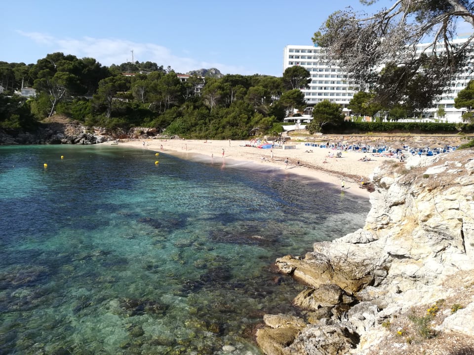 Strand Iberostar Waves Pinos Park