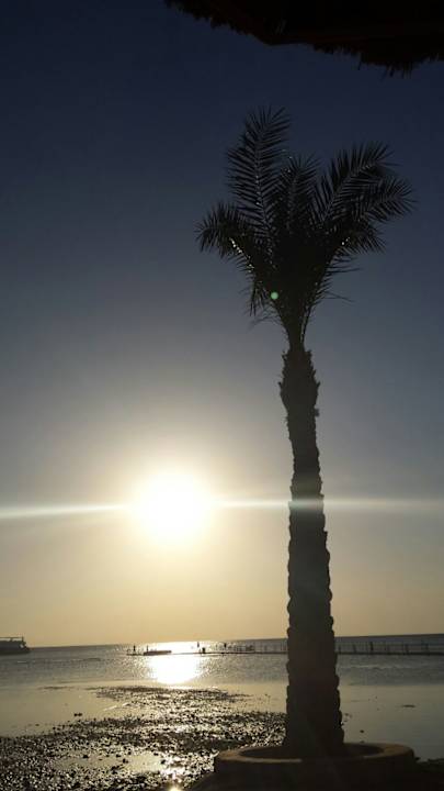 Strand Pickalbatros Palace Resort