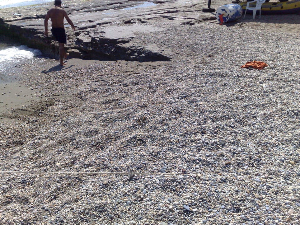 Kiesstrand Insula Resort & Spa