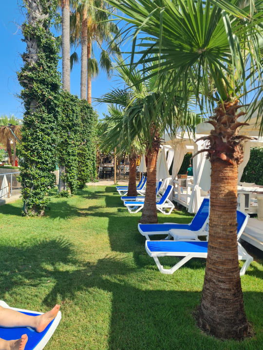 Gartenanlage Numa Bay Exclusive Hotel