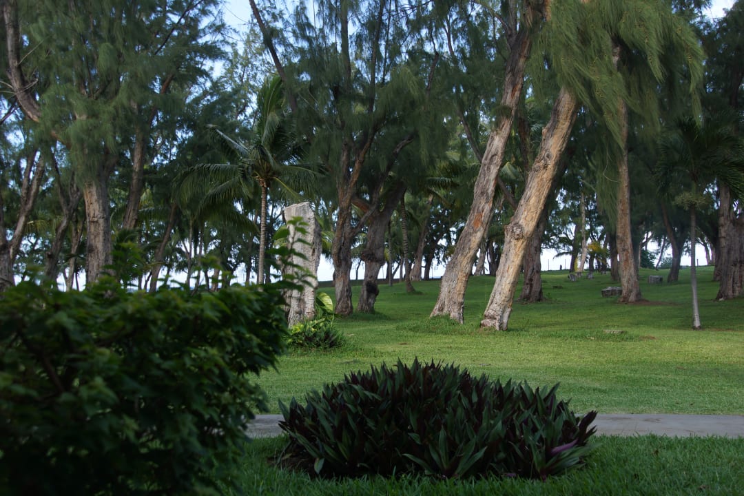 Ausblick LUX Saint Gilles